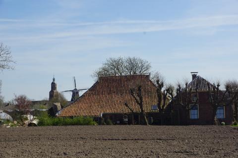 Eenrum met kerk en molen