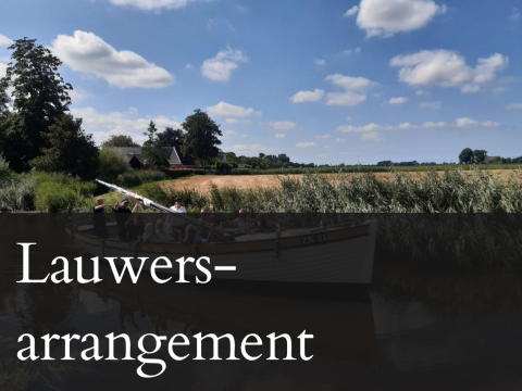 Lauwersarr