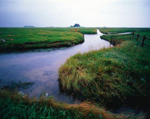 Het landschap van De Ploeg