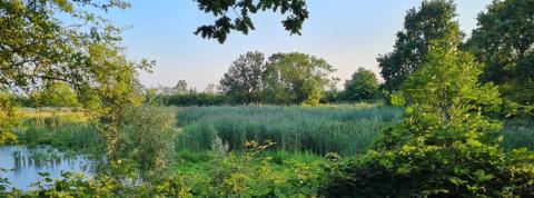 Maarhuizen